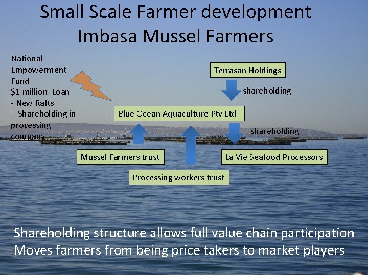 Small Scale Farmer development Imbasa Mussel Farmers National Empowerment Fund $1 million Loan -
