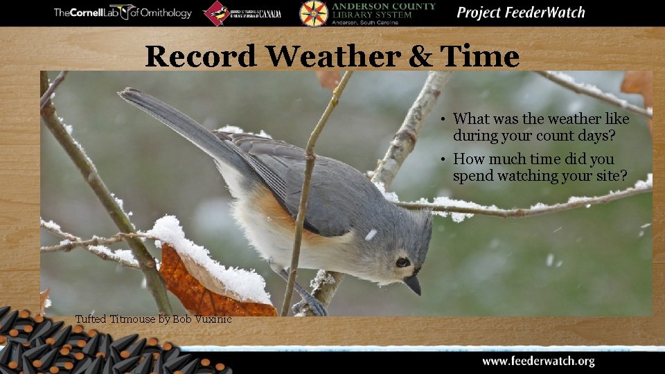 Record Weather & Time • What was the weather like during your count days?