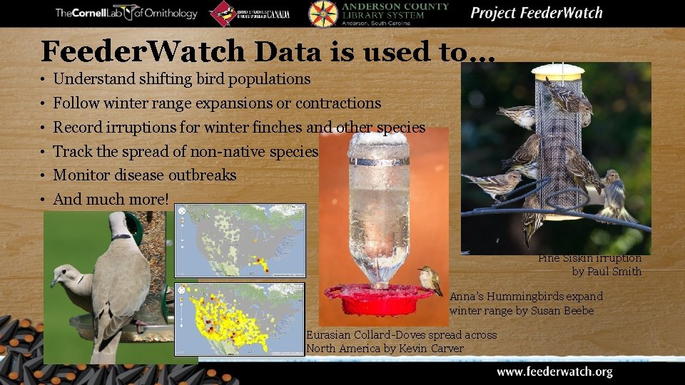 Feeder. Watch Data is used to… • Understand shifting bird populations • Follow winter