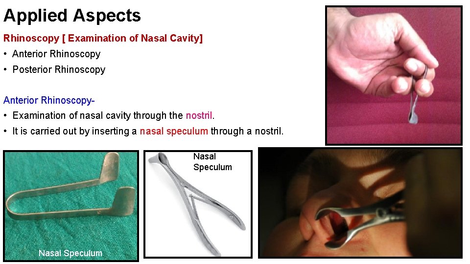 Applied Aspects Rhinoscopy [ Examination of Nasal Cavity] • Anterior Rhinoscopy • Posterior Rhinoscopy