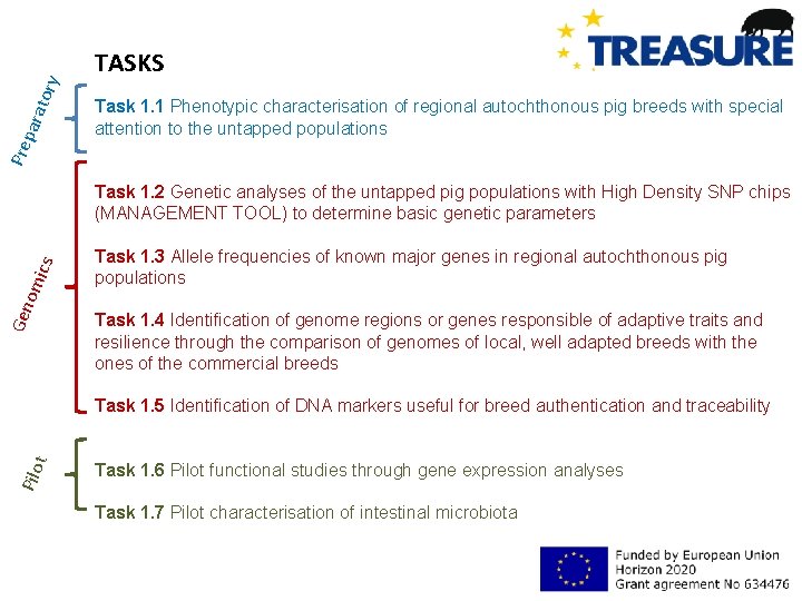 Task 1. 1 Phenotypic characterisation of regional autochthonous pig breeds with special attention to