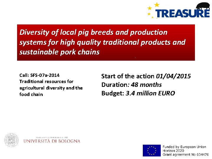 Diversity of local pig breeds and production systems for high quality traditional products and
