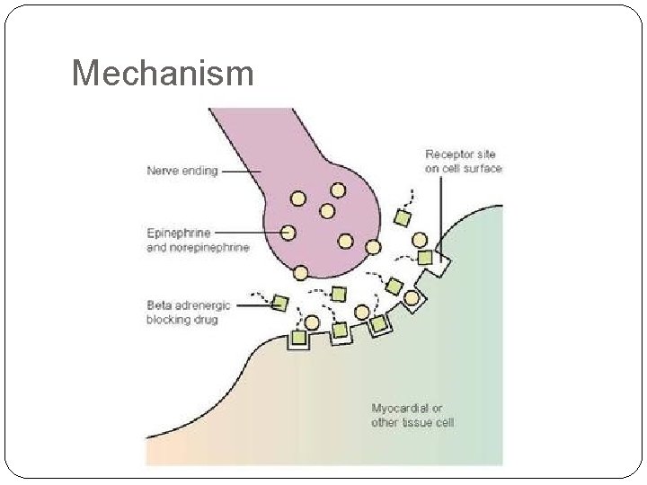 Mechanism 