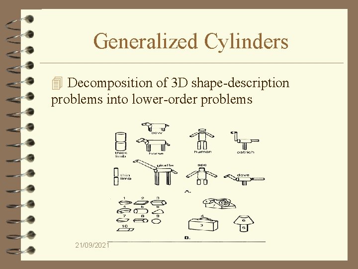 Generalized Cylinders 4 Decomposition of 3 D shape-description problems into lower-order problems 21/09/2021 