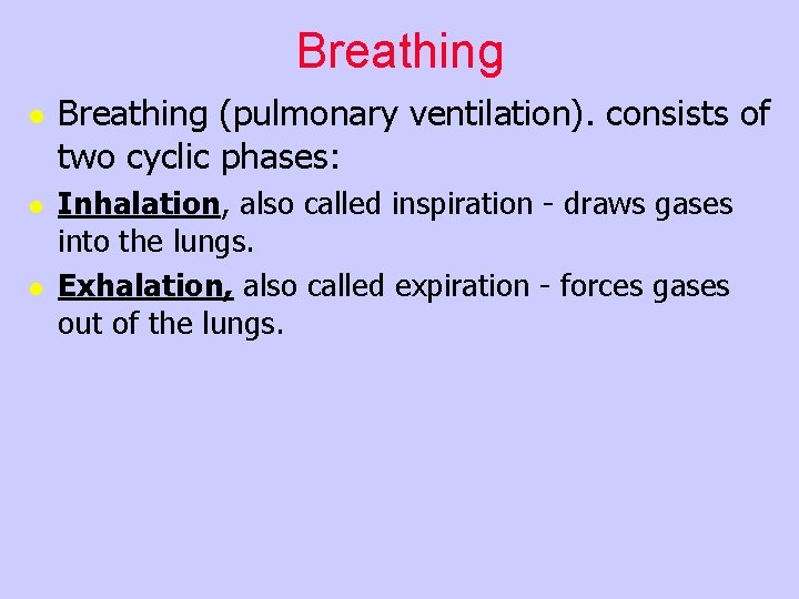 Breathing l l l Breathing (pulmonary ventilation). consists of two cyclic phases: Inhalation, also