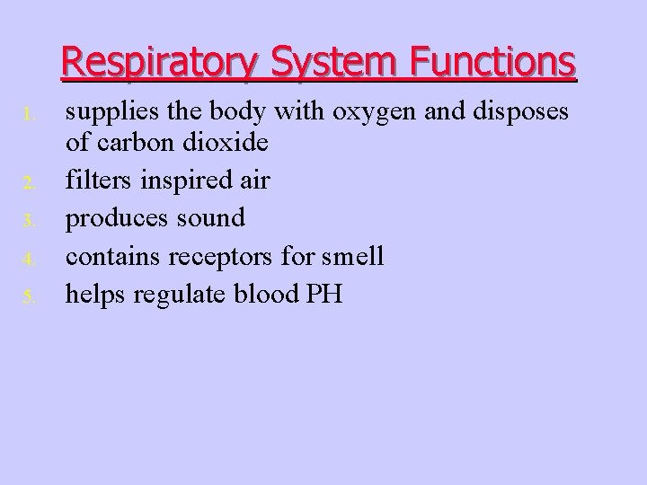 Respiratory System Functions 1. 2. 3. 4. 5. supplies the body with oxygen and