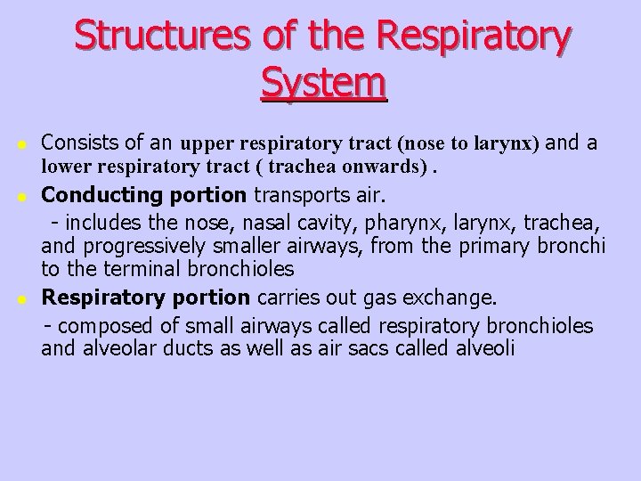 Structures of the Respiratory System l l l Consists of an upper respiratory tract