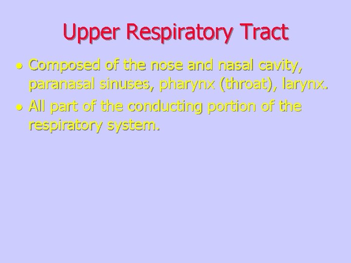 Upper Respiratory Tract l l Composed of the nose and nasal cavity, paranasal sinuses,