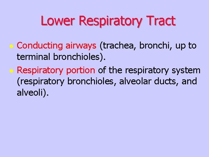 Lower Respiratory Tract l l Conducting airways (trachea, bronchi, up to terminal bronchioles). Respiratory