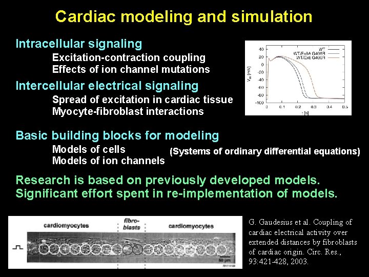 Cardiac modeling and simulation Intracellular signaling Excitation-contraction coupling Effects of ion channel mutations Intercellular