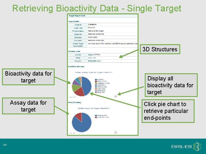 Retrieving Bioactivity Data - Single Target 3 D Structures Bioactivity data for target Assay Retrieving Bioactivity Data - Single Target 3 D Structures Bioactivity data for target Assay