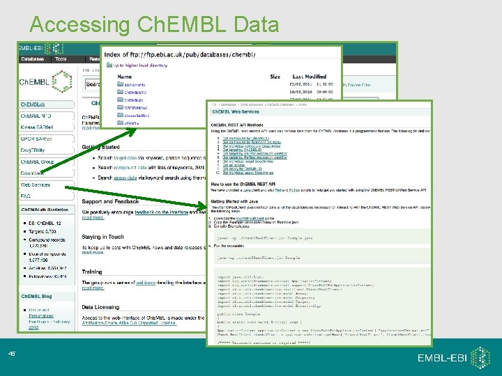 Accessing Ch. EMBL Data 45 Accessing Ch. EMBL Data 45