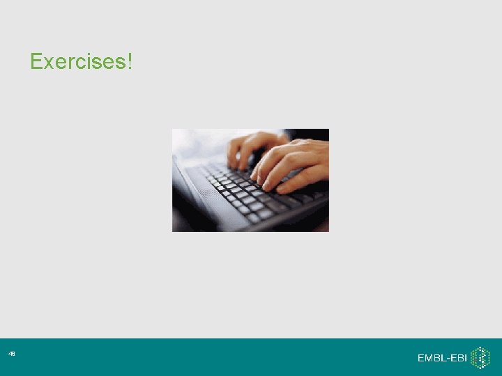 Exercises! 48 Exercises! 48