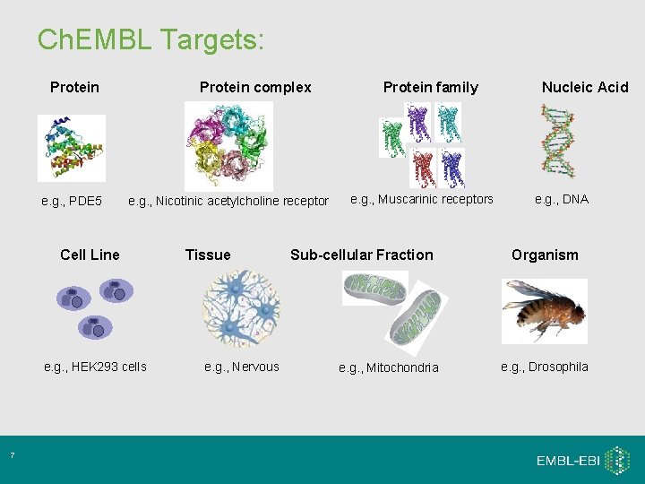 Ch. EMBL Targets: Protein e. g. , PDE 5 Protein complex e. g. , Ch. EMBL Targets: Protein e. g. , PDE 5 Protein complex e. g. ,