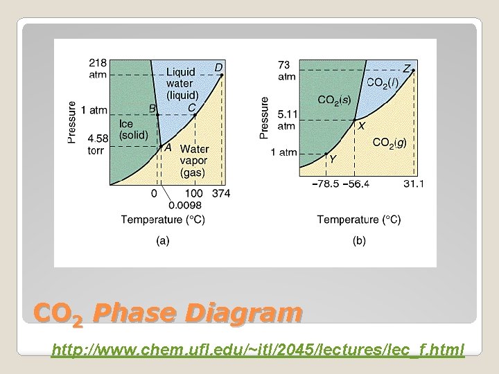 CO 2 Phase Diagram http: //www. chem. ufl. edu/~itl/2045/lectures/lec_f. html 