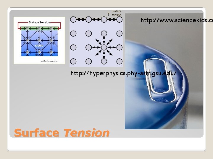 http: //www. sciencekids. co http: //hyperphysics. phy-astr. gsu. edu/ Surface Tension 