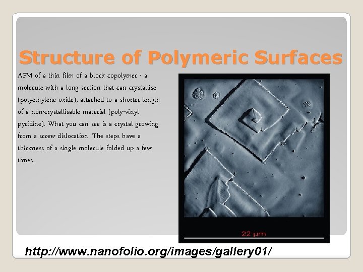 Structure of Polymeric Surfaces AFM of a thin film of a block copolymer -