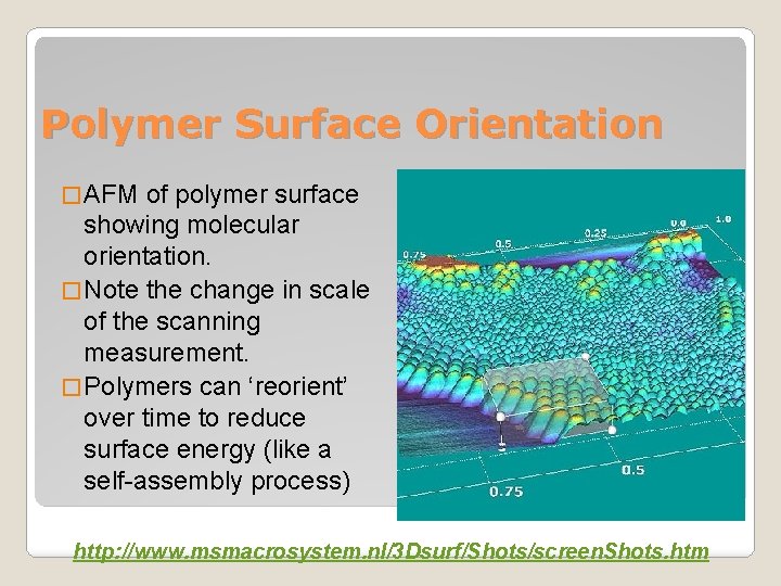 Polymer Surface Orientation � AFM of polymer surface showing molecular orientation. � Note the