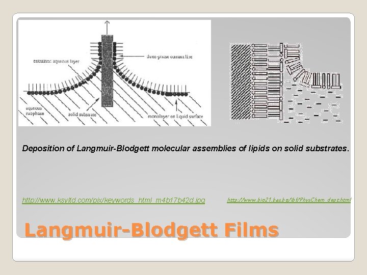 Deposition of Langmuir-Blodgett molecular assemblies of lipids on solid substrates. http: //www. ksvltd. com/pix/keywords_html_m