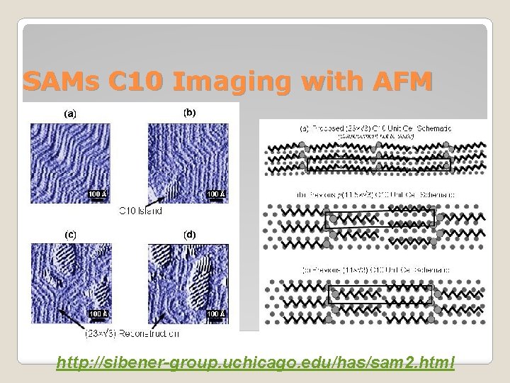 SAMs C 10 Imaging with AFM http: //sibener-group. uchicago. edu/has/sam 2. html 