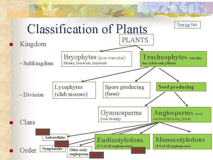 Classification of Plants n - Division n PLANTS Kingdom - Subkingdom Bryophytes (non-vascular) Tracheophytes