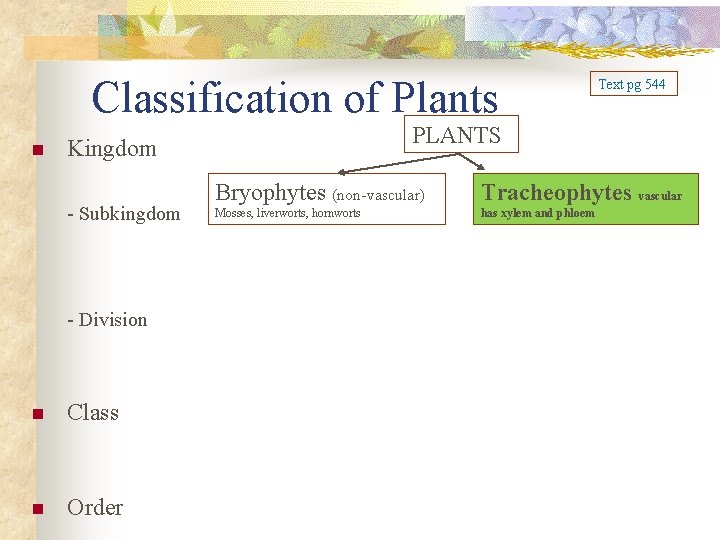 Classification of Plants n PLANTS Kingdom - Subkingdom - Division n Class n Order