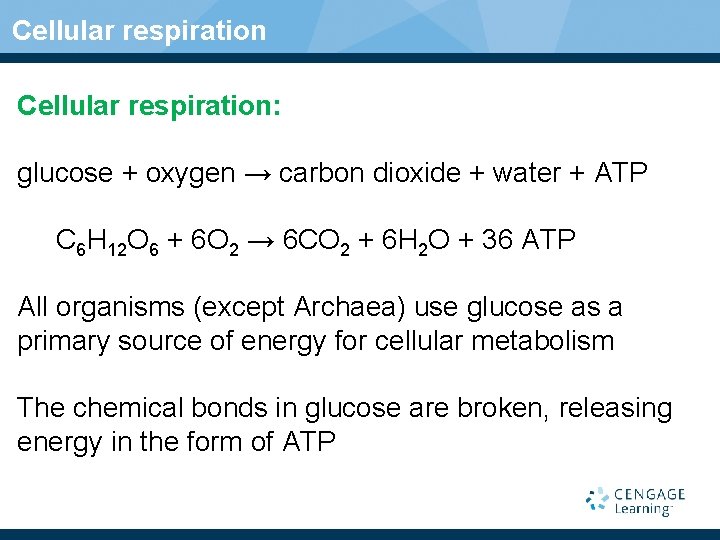 Cellular respiration: glucose + oxygen → carbon dioxide + water + ATP C 6