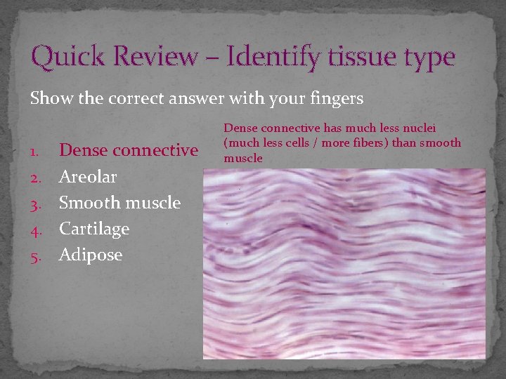 Quick Review – Identify tissue type Show the correct answer with your fingers 1.