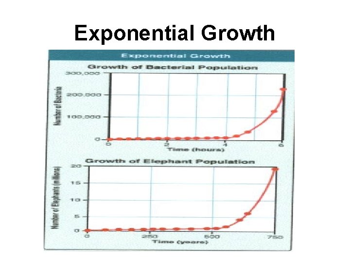 Exponential Growth 