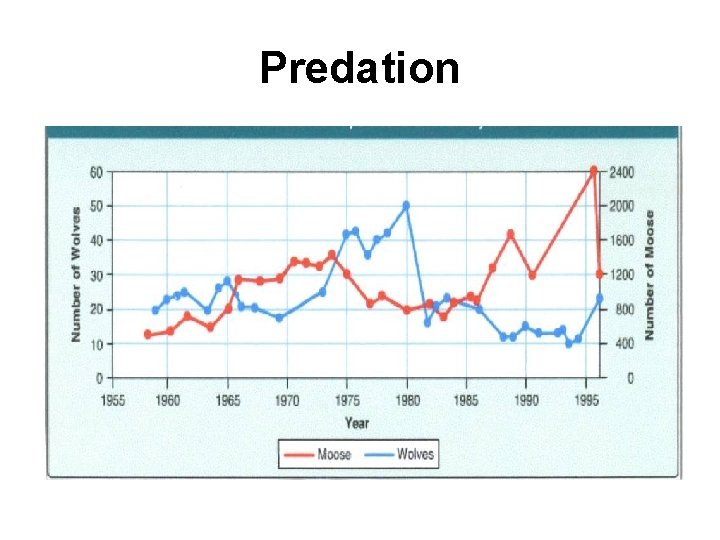 Predation 