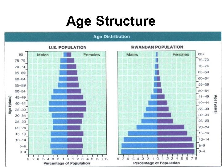 Age Structure 