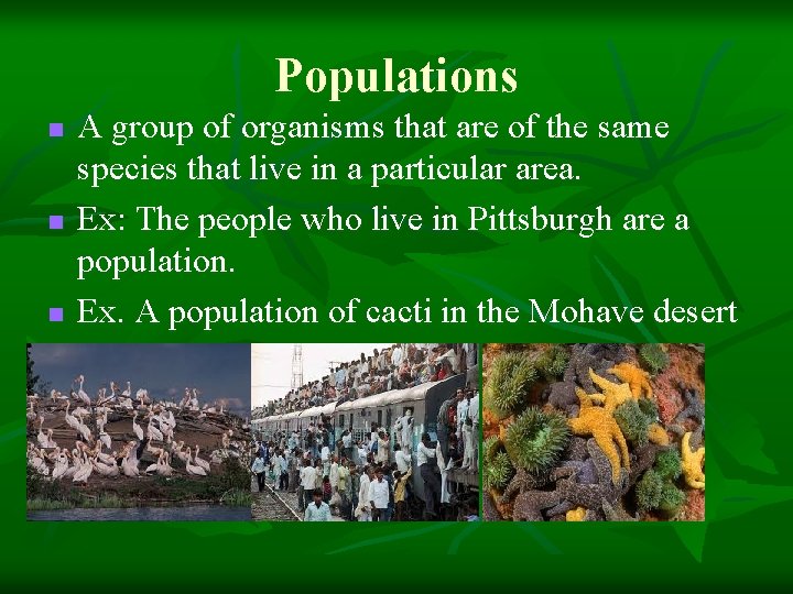 Populations n n n A group of organisms that are of the same species