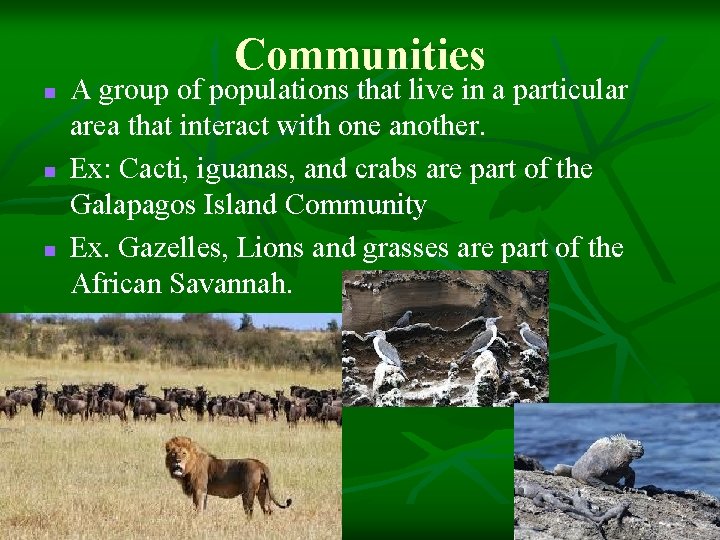 Communities n n n A group of populations that live in a particular area