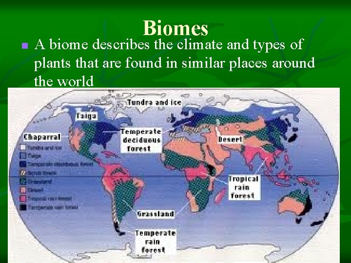 n Biomes A biome describes the climate and types of plants that are found