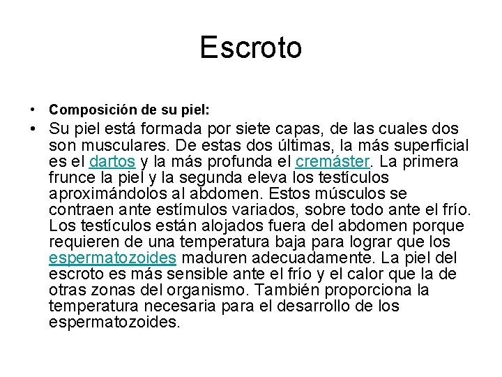 Escroto • Composición de su piel: • Su piel está formada por siete capas,