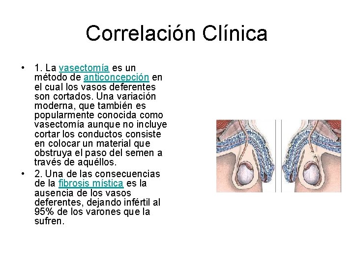 Correlación Clínica • 1. La vasectomía es un método de anticoncepción en el cual