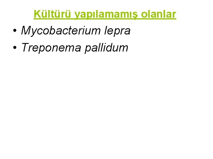 Kültürü yapılamamış olanlar • Mycobacterium lepra • Treponema pallidum 