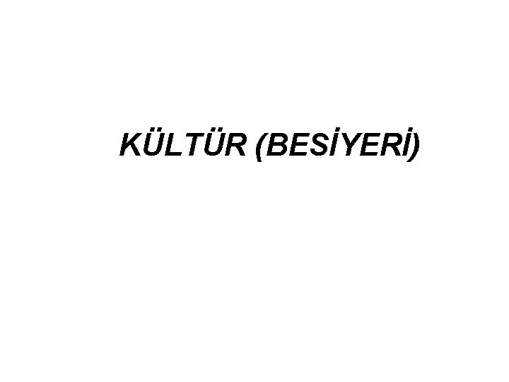 KÜLTÜR (BESİYERİ) 