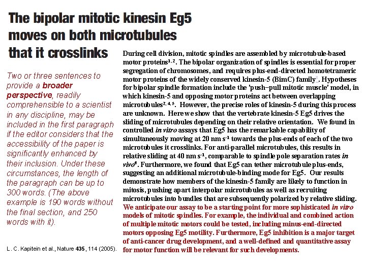 Two or three sentences to provide a broader perspective, readily comprehensible to a scientist