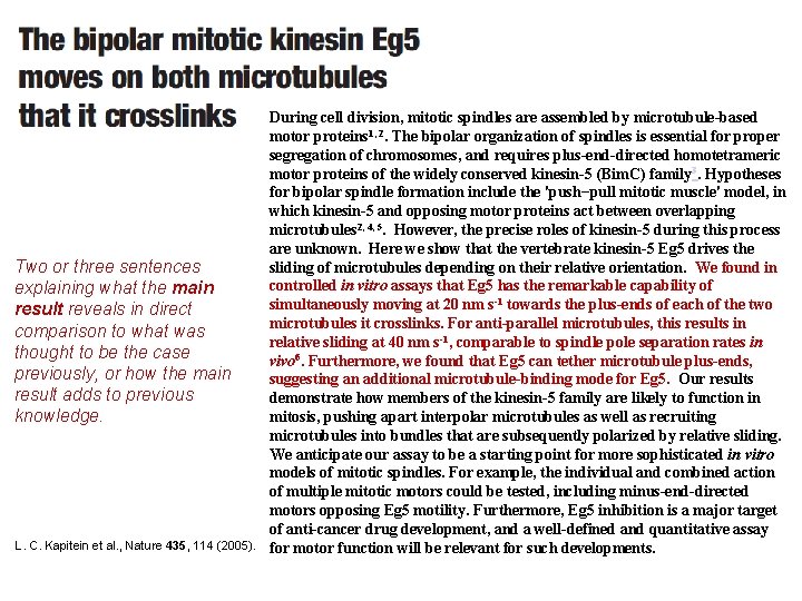 Two or three sentences explaining what the main result reveals in direct comparison to