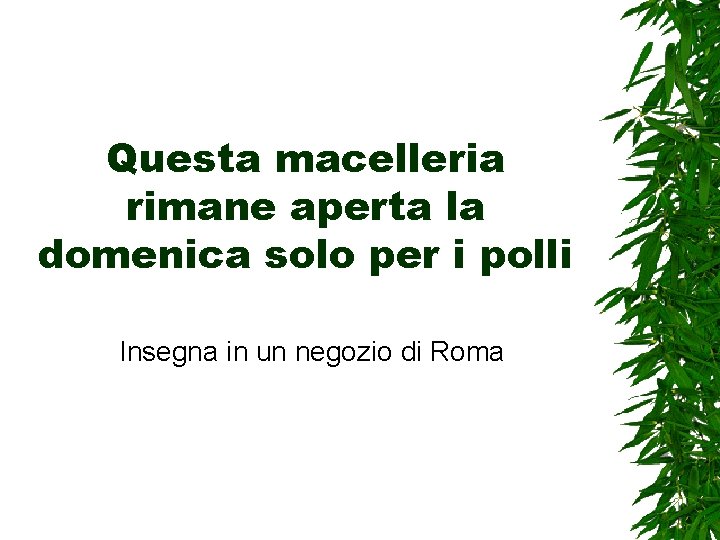 Questa macelleria rimane aperta la domenica solo per i polli Insegna in un negozio