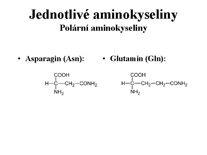 Jednotlivé aminokyseliny Polární aminokyseliny • Asparagin (Asn): • Glutamin (Gln): 