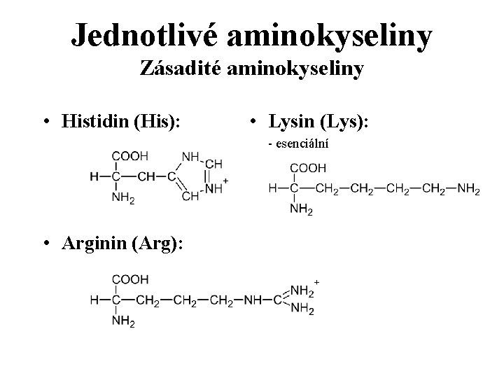 Jednotlivé aminokyseliny Zásadité aminokyseliny • Histidin (His): • Lysin (Lys): - esenciální • Arginin