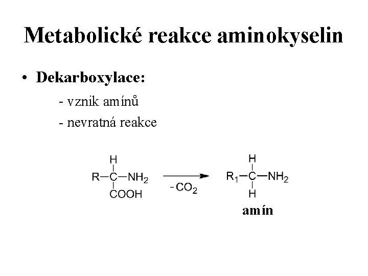 Metabolické reakce aminokyselin • Dekarboxylace: - vznik amínů - nevratná reakce amín 