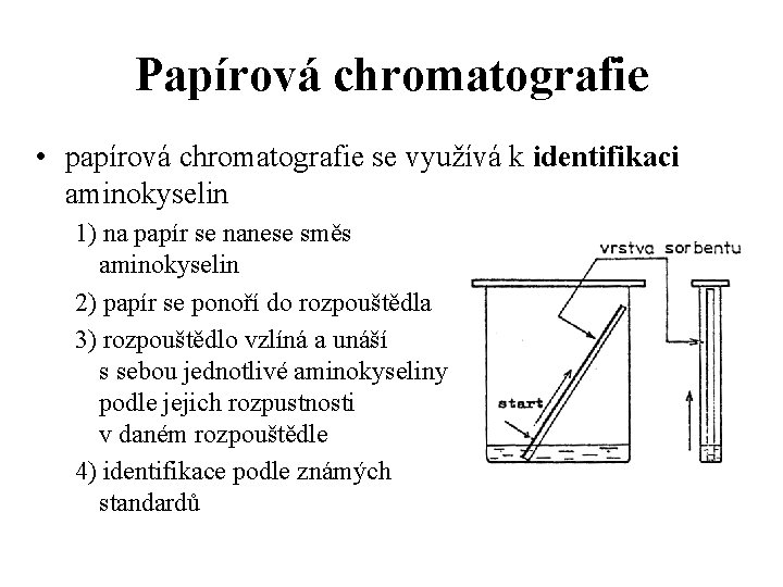 Papírová chromatografie • papírová chromatografie se využívá k identifikaci aminokyselin 1) na papír se