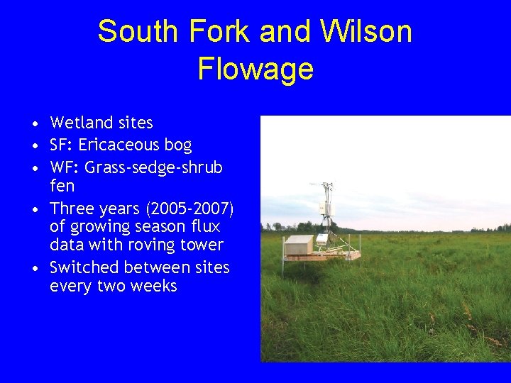 South Fork and Wilson Flowage • Wetland sites • SF: Ericaceous bog • WF:
