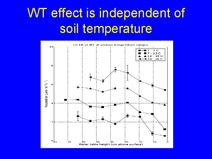 WT effect is independent of soil temperature 