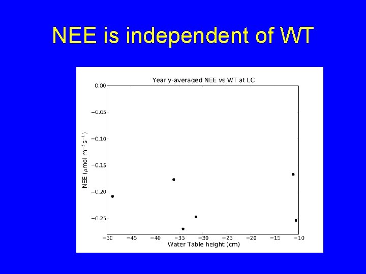 NEE is independent of WT 