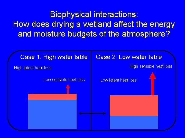 Biophysical interactions: How does drying a wetland affect the energy and moisture budgets of