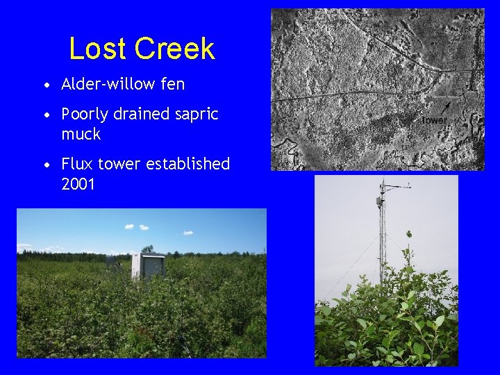 Lost Creek • Alder-willow fen • Poorly drained sapric muck • Flux tower established